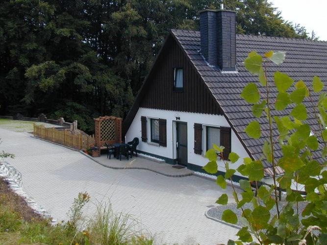 Nice Holiday Home Near Ski Area Medebach Exterior photo