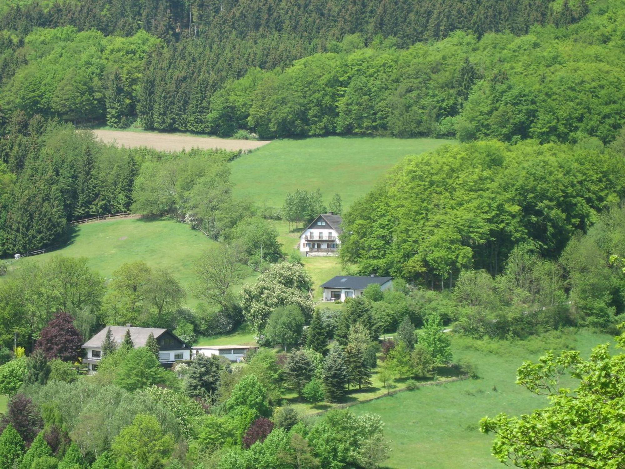 Nice Holiday Home Near Ski Area Medebach Exterior photo